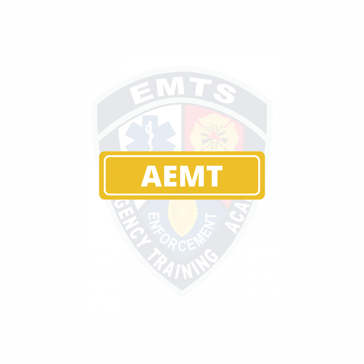 AEMT Button